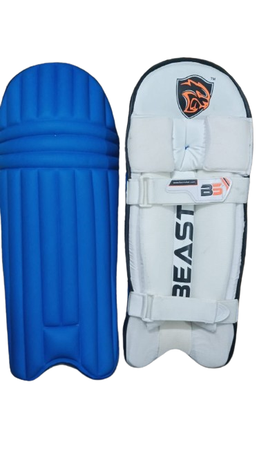 Batting Pads 1