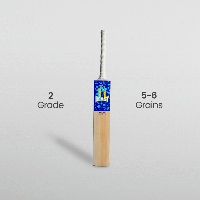 The Beast Master Blaster Edition Cricket Bat – Premium English Willow, Exceptional Balance & Power - Image 2