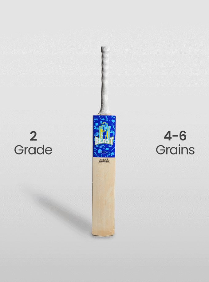 Beast Never Give Up Kids Edition