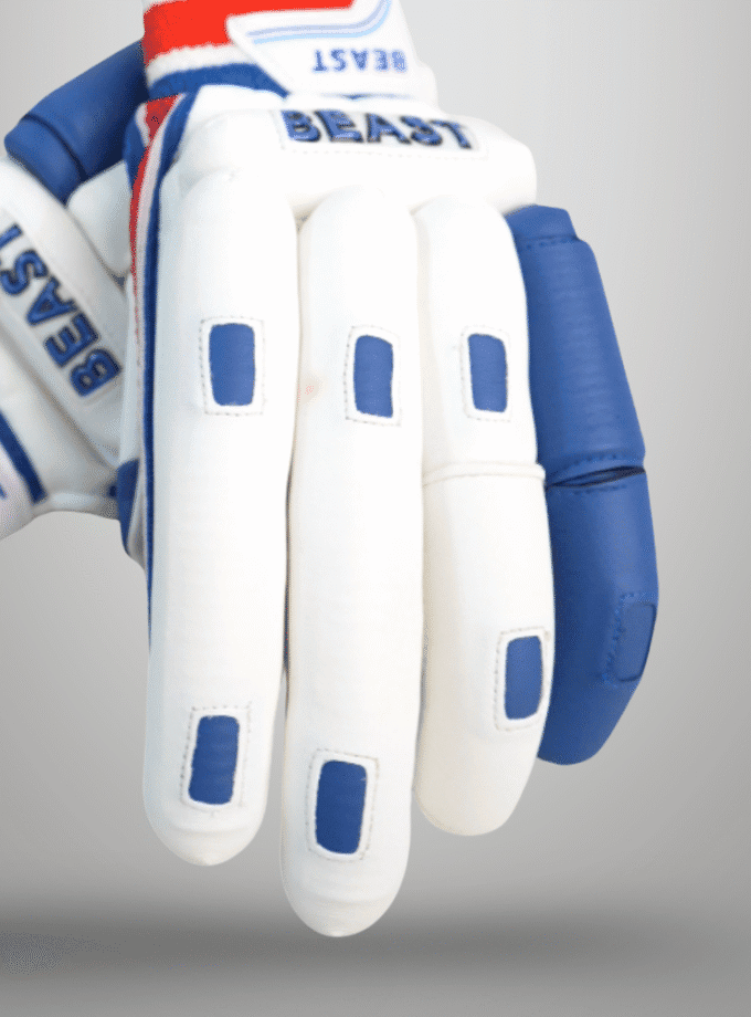 Batting Cut Players Gloves | Blue & White