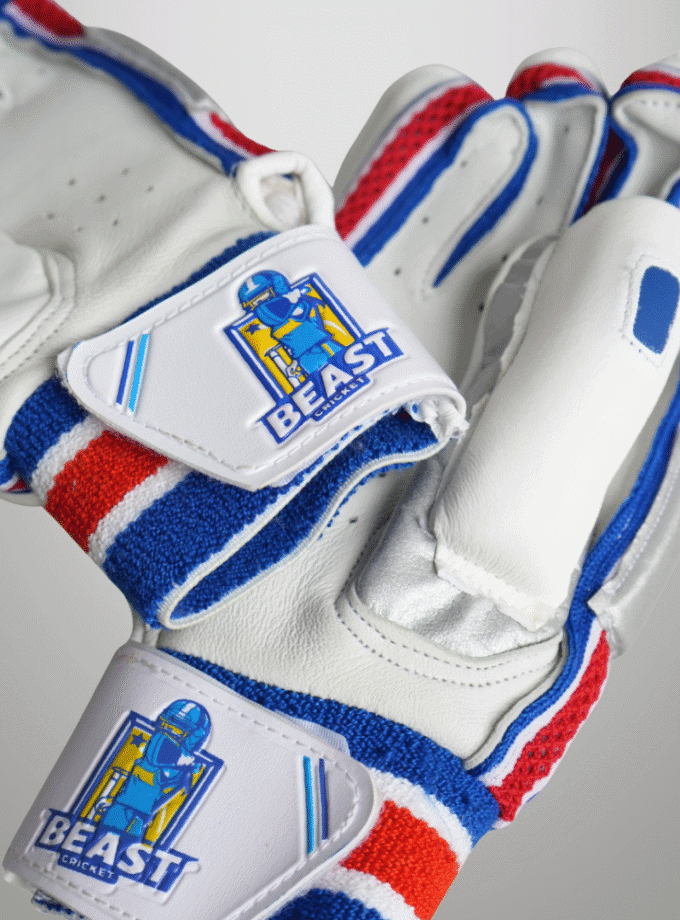 Batting Cut Players Gloves | Blue & White