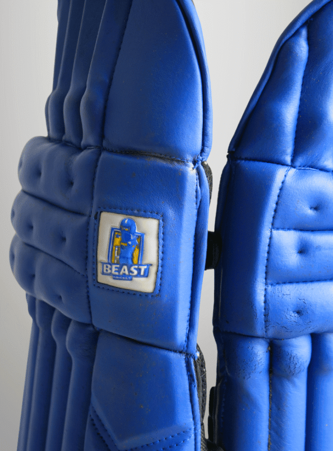 Lightweight Cricket Batting Pads | Blue