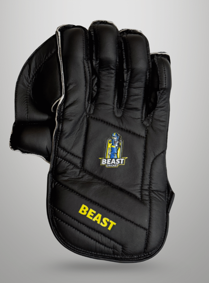 Men Leather Wicket Keeping Gloves | Black