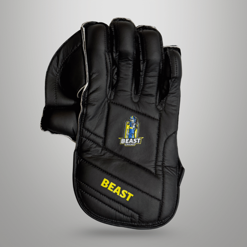 Men Leather Wicket Keeping Gloves | Black