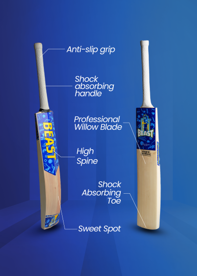 Bat (2)